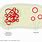 Bacterial Plasmid DNA