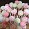 Baby Girl Cake Pops