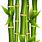 Bamboo Tree Clip Art