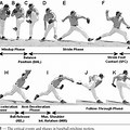 Baseball Throwing Motion