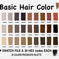 Basic Hair Color Chart Hex