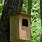 Barred Owl Nest Box Plans