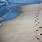 Beach Sand Footprints