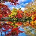 Beautiful Background Wallpaper Autumn Japan