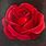 Beautiful Red Rose Painting