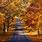 Best Fall Foliage Trips