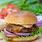 Best Turkey Burger Recipe