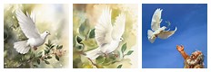 Biblical Dove in a Tree Digital Art