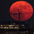 Big Orange Moon Close to Earth