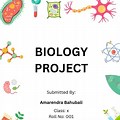 Biology Word Project Design