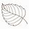 Birch Leaf Outline