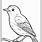 Bird Coloring Images