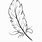 Bird Feather Coloring Page