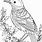 Bird Images Coloring Pages