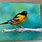 Bird On Branch Painting