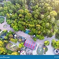 Birds Eye View of Trees at a Theme Park