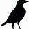 Black Bird Clip Art