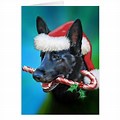 Black German Shepherd Christmas Cards