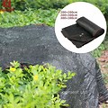 Black Shade Cloth for Plants