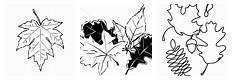 Black and White Autumn Leaves in a Row Clip Art