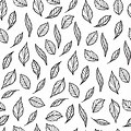 Black and White Leaves Background