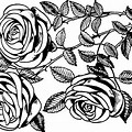 Black and White Rose Bundles Clip Art