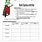 Blood Typing Worksheet