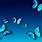 Blue Butterfly Wallpaper