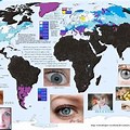 Blue Eyes around the World Map