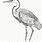 Blue Heron Line Art