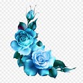 Blue Rose Flower Border Clip Art