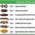 Bowel Movement Shape Chart