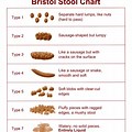 Bowel Movement Size Chart