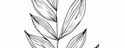 Botanical Leaf Line Drawings