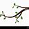 Branch with Leaves Illustration Vector