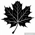 Branch Silhouette with Maple Leaf