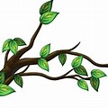 Branch Vector No Background