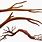 Branches Vector