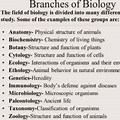 Branches of Biology in Written Form