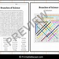 Branches of Science Worksheet PDF Complete