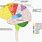 Brain Circuit Diagram