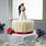 Bride Groom Cake Toppers