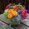 Bright Flower Arrangements