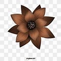 Brown Flower Clip Art Background