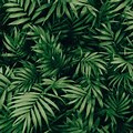 Cute Green Zoom Backgrounds