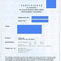 CE Conformity Certificate GE Vivid S5