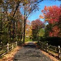 CT Farmington Canal Trail in the Fall