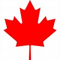 Canada Maple Leaf Image No Background