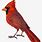 Cardinal Bird PNG Image