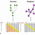 Causal Relation and Adjacency Graph